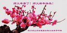 Published on 1/26/2017 ֹ,½󷨵ӹףʦ(26)