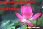 Published on 1/26/2017 ֹ,½󷨵ӹףʦ(26)