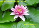 Published on 1/26/2017 ֹ,½󷨵ӹףʦ(26)