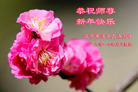 Published on 1/26/2017 ֹ,½󷨵ӹףʦ(26)