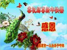 Published on 1/26/2017 ֹ,½󷨵ӹףʦ(26)