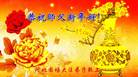 Published on 1/26/2017 ֹ,½󷨵ӹףʦ(26)