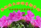 Published on 1/26/2017 ֹ,½󷨵ӹףʦ(26)