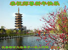 Published on 1/26/2017 ֹ,½󷨵ӹףʦ(26)
