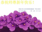 Published on 1/26/2017 ֹ,½󷨵ӹףʦ(26)