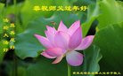 Published on 1/26/2017 ֹ,½󷨵ӹףʦ(26)