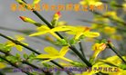 Published on 1/26/2017 ֹ,½󷨵ӹףʦ(26)
