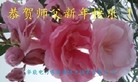 Published on 1/26/2017 ֹ,½󷨵ӹףʦ(26)