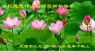 Published on 1/26/2017 ֹ,½󷨵ӹףʦ(26)