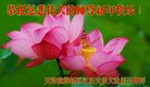 Published on 1/26/2017 ֹ,½󷨵ӹףʦ(26)