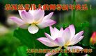 Published on 1/26/2017 ֹ,½󷨵ӹףʦ(26)