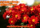 Published on 1/26/2017 ֹ,½󷨵ӹףʦ(26)