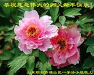 Published on 1/26/2017 ֹ,½󷨵ӹףʦ(26)