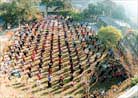 Published on 11/2/1996 Group practice at the site of the ancient Temple Jietai in Beijing, 1996