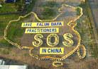 Published on 10/16/2001 Falun Dafa practitioners in Australia form "SOS" during the Asia-Pacific Fa Conference, 2001.

