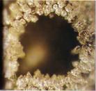 Published on 2/25/2003 --Water Crystal of Dingdong Spring in a Cave at Tenkawa Village in Yoshino County in Nara Province, the crystal clearly shows the shape of a cave
***
Scientists found that crystal of water from different locations recorded the information of their geographical origin and feature.  






