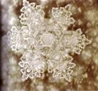 Published on 2/25/2003 ---The Water Crystal of a Spring on a Mountain at an Altitude, the crystal shows the shape of snow flake. One don’t need geographical knowledge to tell where it came from 
