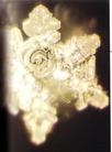 Published on 2/25/2003 --Water crystal from Hongfa Spring in Kanagawa, the spring and many others were discovered by a renown Buddhist 1,200 years ago. Cystals of these spring waters have alarmly similar structure.    

****

Scientists found that crystal of water from different locations recorded the information of their geographical origin and feature.  






