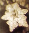 Published on 2/25/2003 --Water crystal from Hongfa Spring in Hiroshima,the spring and many others were discovered by a renown Buddhist 1,200 years ago. Cystals of these spring waters have alarmly similar structure.    

****

Scientists found that crystal of water from different locations recorded the information of their geographical origin and feature.  






