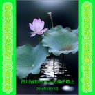 ֹ,ɶ󷨵ӹ編ִʦ𻪵(24)
