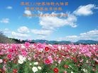 ֹ,ɶ󷨵ӹ編ִʦ𻪵(24)
