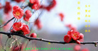 Published on 5/13/2011 ֹ,½󷨵Ӻʦ𻪵߷ִգ9 - ִ
