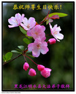 Published on 5/13/2011 ֹ,½󷨵Ӻʦ𻪵߷ִգ9 - ִ
