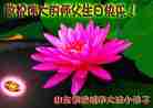 Published on 5/13/2011 ֹ,СӾףʦ𻪵 - ִ
