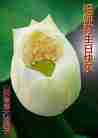 Published on 5/12/2011 ֹ,󷨵Ӻʦ𻪵߷ִգ176أ - ִ
