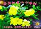 Published on 5/13/2011 ֹ,˾󷨵Ӻʦ𻪵߷ִ - ִ
