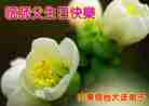 Published on 5/12/2011 ֹ,󷨵Ӻʦ𻪵߷ִգ176أ - ִ
