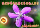 Published on 5/12/2011 ֹ,󷨵Ӻʦ𻪵߷ִգ176أ - ִ
