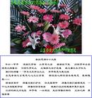 Published on 5/12/2011 ֹ,󷨵Ӻʦ𻪵߷ִգ176أ - ִ
