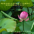 Published on 5/13/2011 ֹ,СӾףʦ𻪵 - ִ
