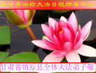Published on 5/12/2011 ֹ,󷨵Ӻʦ𻪵߷ִգ92أ - ִ
