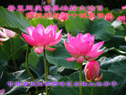 Published on 5/12/2011 ֹ,󷨵Ӻʦ𻪵߷ִգ92أ - ִ
