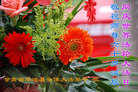 Published on 5/12/2011 ֹ,󷨵Ӻʦ𻪵߷ִգ92أ - ִ
