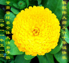 Published on 5/12/2011 ֹ,󷨵Ӻʦ𻪵߷ִգ92أ - ִ
