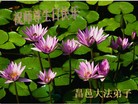 Published on 5/13/2011 ֹ,½󷨵Ӻʦ𻪵߷ִգ10 - ִ
