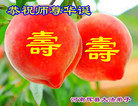 Published on 5/13/2011 ֹ,д󷨵Ӻʦ𻪵߷ִգ246أ - ִ
