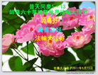 Published on 5/12/2011 ֹ,󷨵Ӻʦ𻪵߷ִգ92أ - ִ
