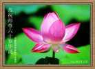 Published on 5/12/2011 ֹ,½󷨵Ӻʦ𻪵߷ִգ300أ - ִ
