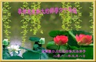 Published on 5/13/2011 ֹ,д󷨵Ӻʦ𻪵߷ִգ246أ - ִ

