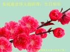 Published on 5/12/2011 ֹ,½󷨵Ӻʦ𻪵߷ִգ300أ - ִ
