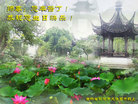 Published on 5/13/2011 ֹ,½󷨵Ӻʦ𻪵߷ִգ11 - ִ
