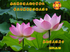 Published on 5/13/2011 ֹ,ŷ޴󷨵Ӻʦ𻪵߷ִ - ִ
