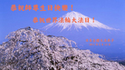 Published on 5/13/2011 ֹ,̫󷨵Ӻʦ𻪵߷ִ - ִ
