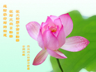 Published on 5/13/2011 ֹ,½󷨵Ӻʦ𻪵߷ִգ16 - ִ

