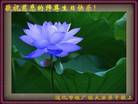 Published on 5/13/2011 ֹ,½󷨵Ӻʦ𻪵߷ִգ13 - ִ
