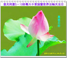 Published on 5/13/2011 ֹ,½󷨵Ӻʦ𻪵߷ִգ21 - ִ
